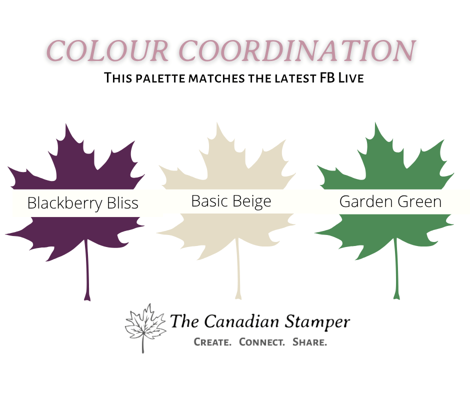 Colour coordination graphic showing Blackberry Bliss, Basic Beige and Garden Green