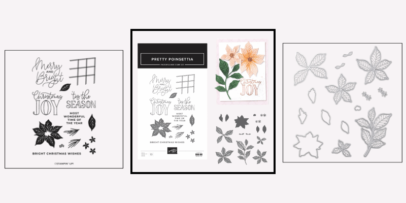 Pretty Poinsettia stamp and die bundle by Stampin' Up!