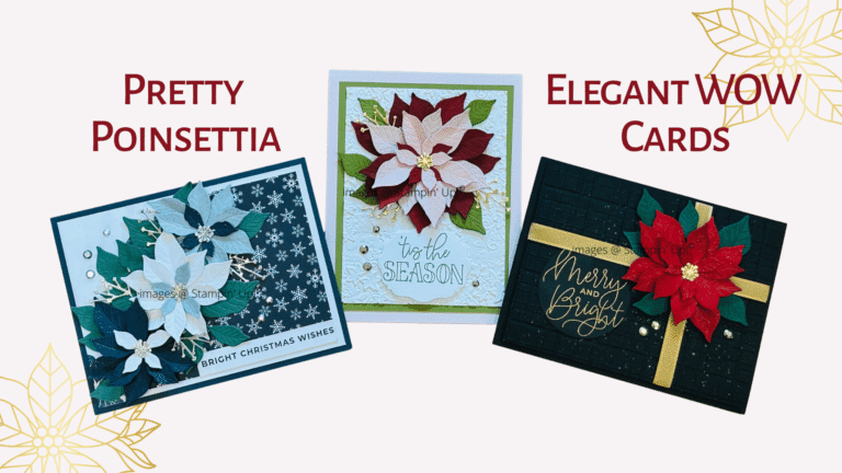 The Pretty Poinsettia Christmas Card Experience