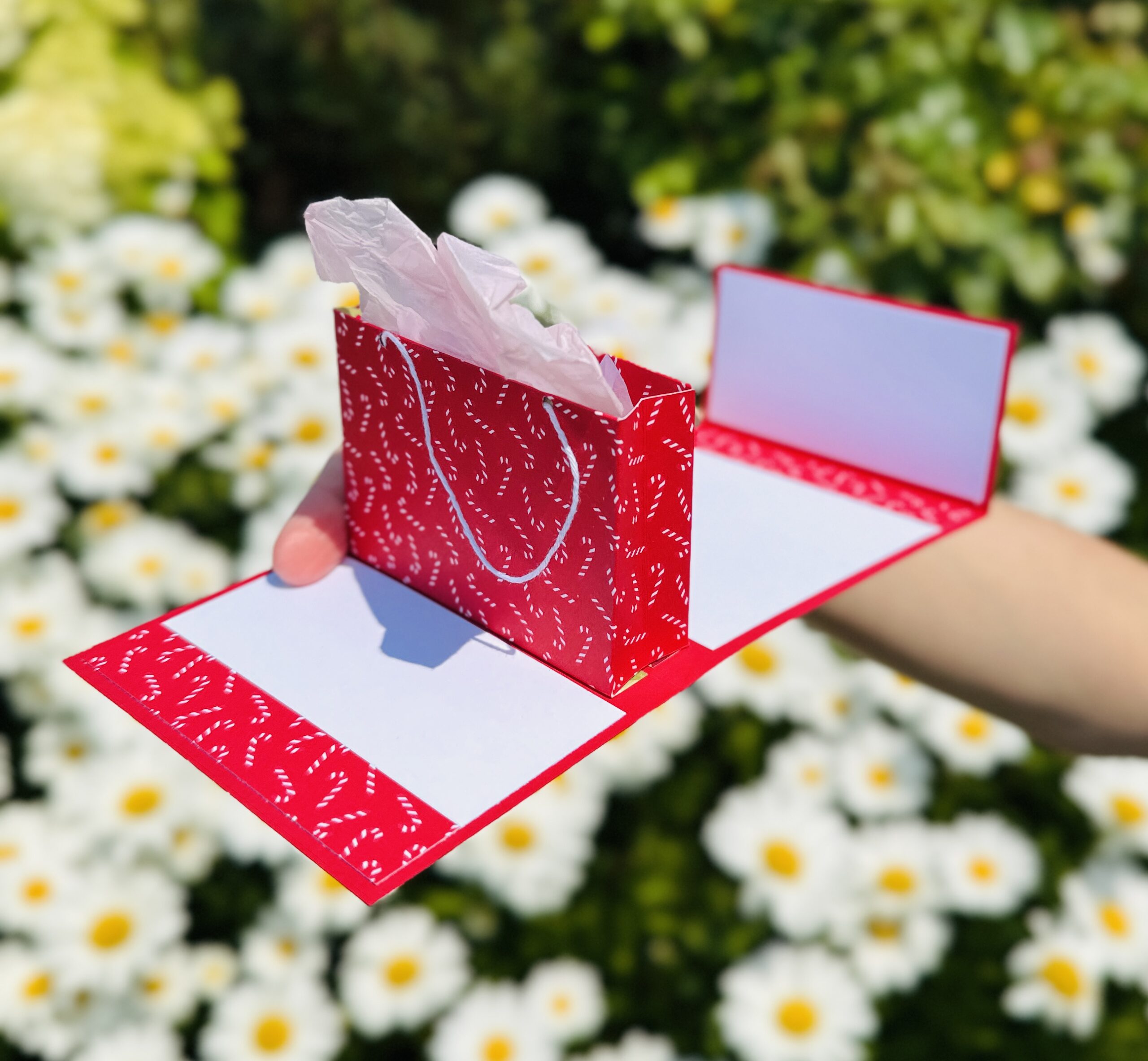 Pop-up gift bag gift card holder