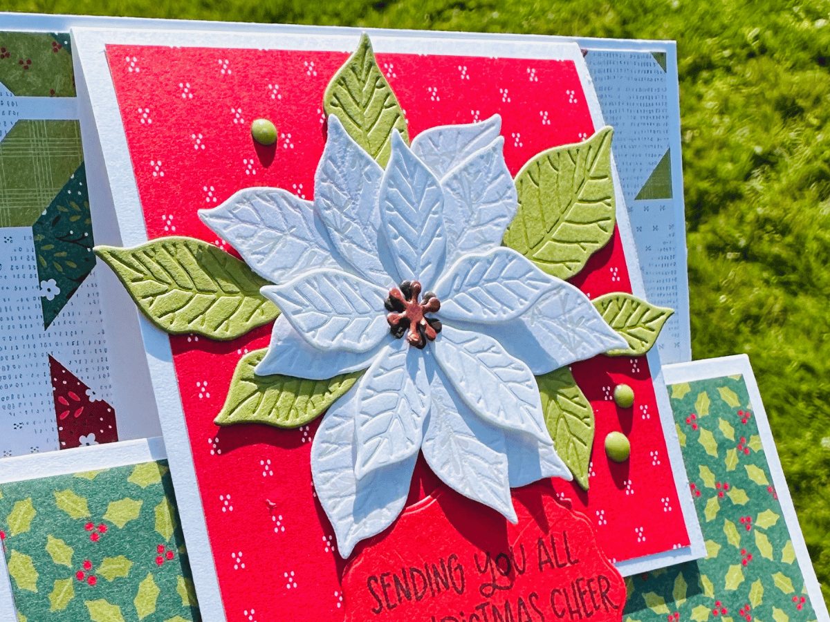 Layered white paper poinsettia with green leaves on a red panel bordered in white.