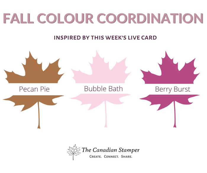Fall colour coordination chart showing Pecan Pie, Bubble Bath and Berry Burst Stampin Up ink colours