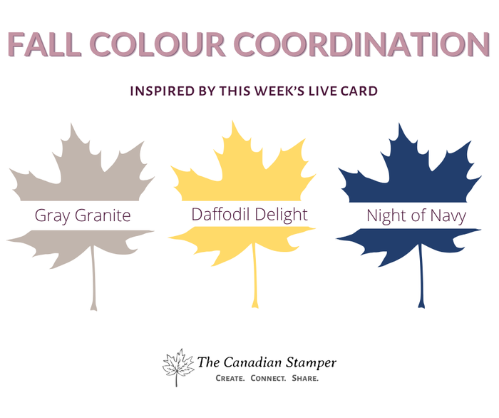 Fall colour coordination chart showing Gray Granite, Daffodil Delight and Night of Navy Stampin Up ink colours