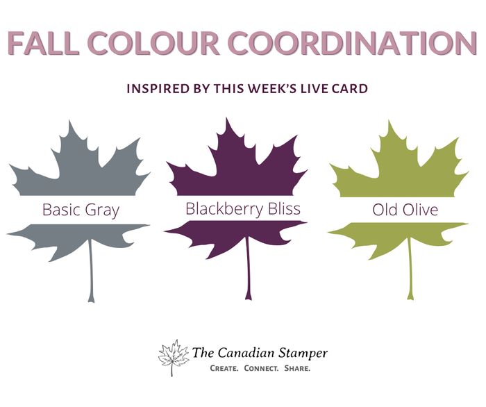 Fall colour coordination chart showing Old Olive, Blackberry Bliss and Basic Gray Stampin Up ink colours