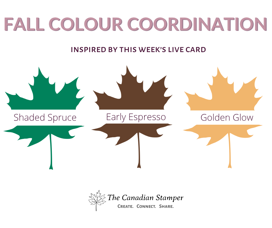 Fall colour combination of Shaded Spruce, Early Espresso and Golden Glow cardstock